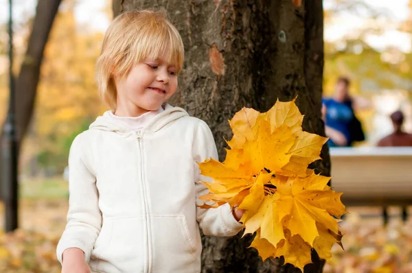 Jesienny Sezon Cute Blond Mała Biała Dziewczyna Żółtą Jesienią Klon — Zdjęcie stockowe