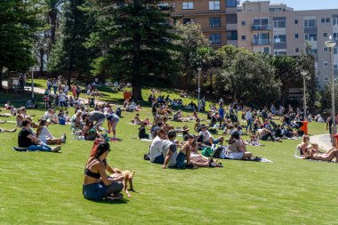 Cronulla, Avustralya 2021-10-17 İnsanlar Sydney 'deki 3 aylık tecritten sonra okyanus kıyısındaki yeşil çimlerde dinleniyor ve güneşleniyor. Covid-19 Sosyal Mesafe.