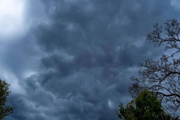 Nadchodzi Burza Burza Chmury Nad Drzewem Silny Ulewny Deszcz Powódź — Zdjęcie stockowe