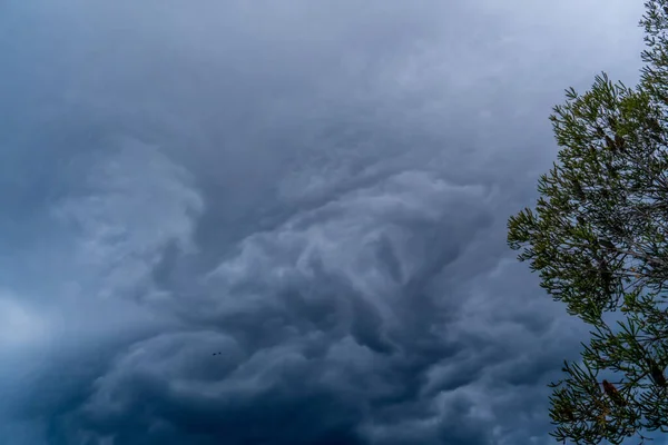 Stormen Väg Stormmoln Ovanför Trädet Kraftigt Regn Översvämningar Regnblixtar Metorologi — Stockfoto