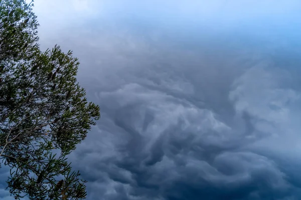 Έρχεται Καταιγίδα Σύννεφα Καταιγίδας Πάνω Από Δέντρο Βαριά Καταρρακτώδης Βροχή — Φωτογραφία Αρχείου