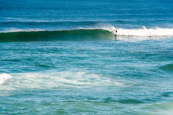 Surfers Catching Waves Ocean Cronulla Nsw Australia — Stock Photo, Image