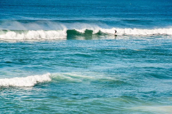 Okyanusta Dalgaları Yakalayan Sörfçüler Cronulla Nsw Avustralya — Stok fotoğraf