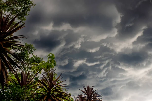 Tormenta Acerca Nubes Tormenta Sobre Árbol Fuertes Lluvias Torrenciales Inundación — Foto de Stock