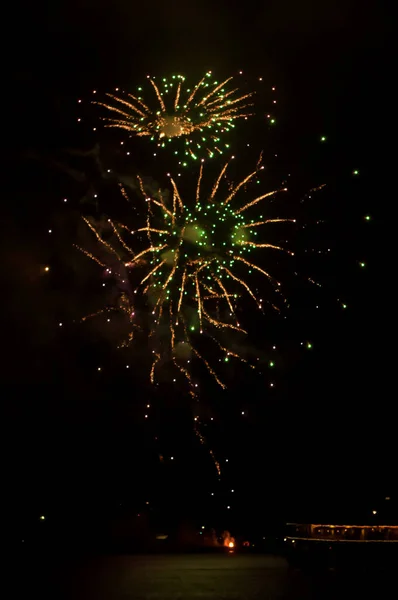 Espectacular Fuegos Artificiales Flores Cielo Oscuro Fondo Celebración Año Nuevo —  Fotos de Stock
