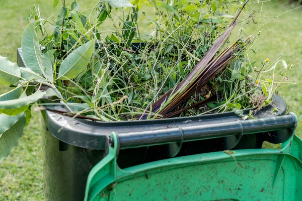 Recipiente Lixo Verde Cheio Lixo Jardim Limpeza Primavera Jardinagem Reciclagem — Fotografia de Stock