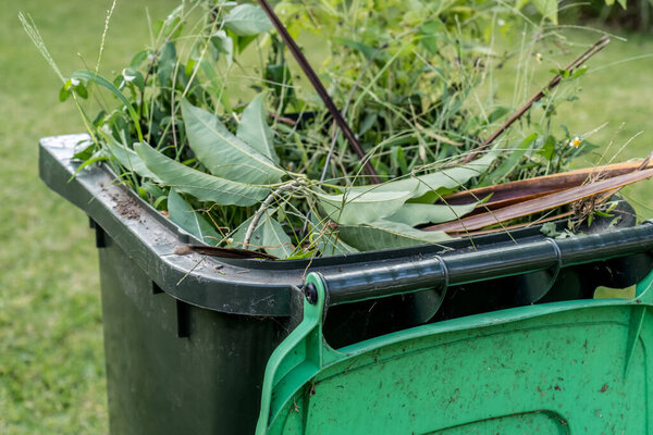Green bin container filled with garden waste. Spring clean up. Gardening Recycling garbage for a better environment.