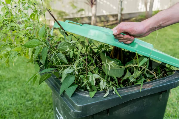 Zielony Pojemnik Wypełniony Odpadami Ogrodowymi Wiosna Posprząta Ogrodnictwo Recykling Śmieci — Zdjęcie stockowe