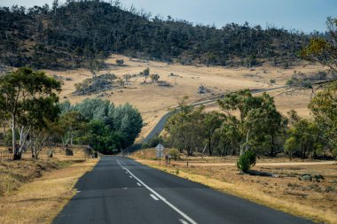 Avustralya 'daki tarlalar ve çiftliklerle çevrili tepelerde dolambaçlı boş yollar. Yolculuk konsepti
