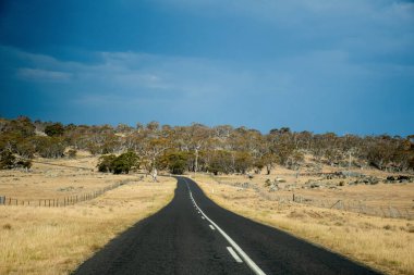 Avustralya 'da çiftlik ve tarlalarla çevrili boş bir yol. Yolculuk konsepti