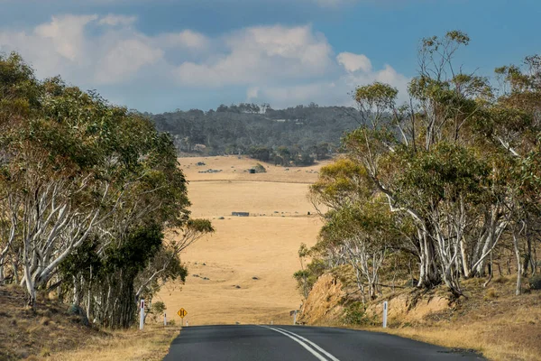 Lurus Terbuka Kosong Jalan Dikelilingi Oleh Peternakan Dan Bidang Australia — Stok Foto