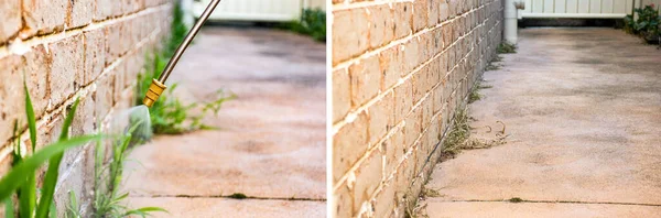 Unkrautvernichtungsmittel Versprühen Unerwünschte Pflanzen Und Gras Auf Einem Hinterhof Bekämpfen — Stockfoto