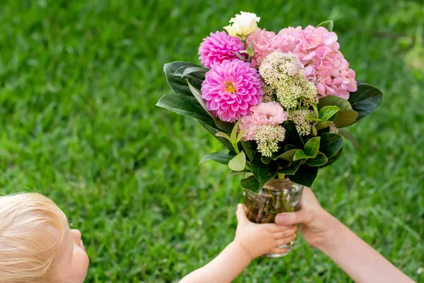 Maluch Trzyma Piękny Różowy Bukiet Kwiatami Dahlii Prezent Dzień Matki — Zdjęcie stockowe