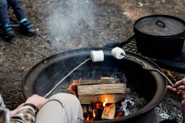 People roasting large marshmallows on a wooden stick over the campfire firepit. Camping family fun