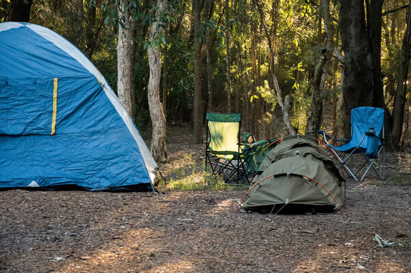 Blue tent, swag and camping chairs at the campsite in the forest bush. Camping lifestyle