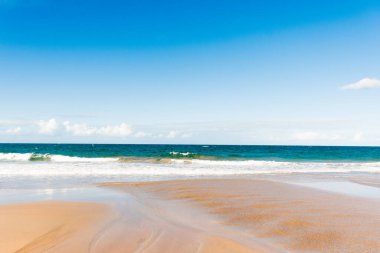 Ocean waves and sandy beach on a sunny day. Nature tropical background. Kellys Beach, Queensland, Australia