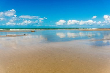 Beautiful sandy beach with sky reflection on a sunny day. Nature tropical background with copy space. Low tide at Elliot Heads Beach, Queensland, Australia
