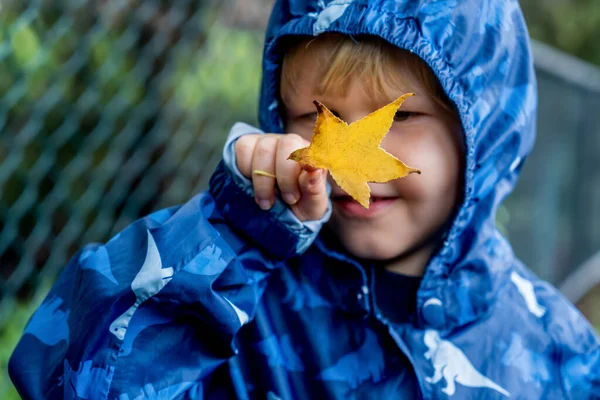 Szczęśliwy Słodki Biały Mały Maluch Chłopiec Przedszkolak Noszenie Niebieski Płaszcz — Zdjęcie stockowe