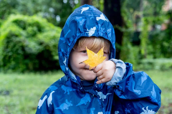 Szczęśliwy Słodki Biały Mały Maluch Chłopiec Przedszkolak Noszenie Niebieski Płaszcz — Zdjęcie stockowe