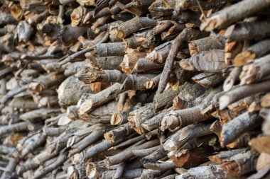 Kışa hazırlanmak için odun yığını. Seçici odak.