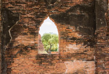 Pencereden bakan ağaç ve gökyüzü arkaplanı olan eski tuğla duvar ve pencere.