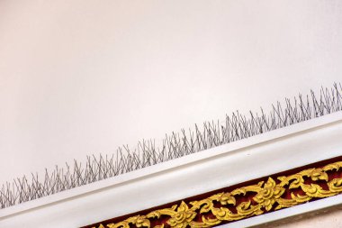 Kuş önleyici çelik çubuk kuşların yuva yapmasını önlemek için yapı yapısına yapışıyor..