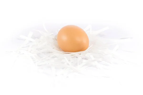 Huevo Gallina Fresco Puesto Papel Troceado Sobre Fondo Blanco — Foto de Stock