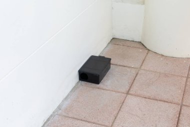 Yerde zehirli fare kapanı kutusu var. Fabrikadaki açık hava zehirli fare istasyonu..