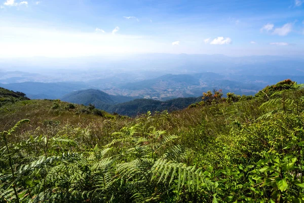 Tropikal orman dağları mavi gökyüzü manzaralı.