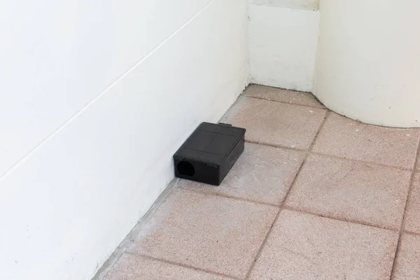 Kotak Perangkap Tikus Beracun Lantai Stasiun Tikus Beracun Luar Ruangan Stok Lukisan  