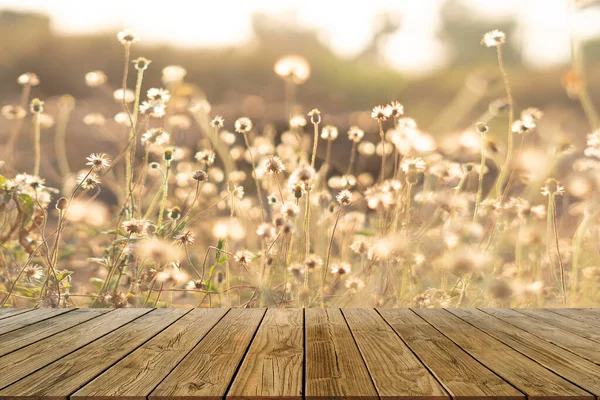 Perspective Old Wood Grass Flower Pastel Soft Style Flare Light — Stock Photo, Image