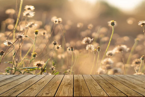 Perspective Old Wood Grass Flower Pastel Soft Style Flare Light — Stock Photo, Image