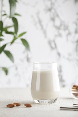 Beyaz arka planda fındıklı vejetaryen badem sütü. Uzayı kopyala Sağlıklı vejetaryen yemekleri. Seçici odaklanma. Sütsüz alternatif süt