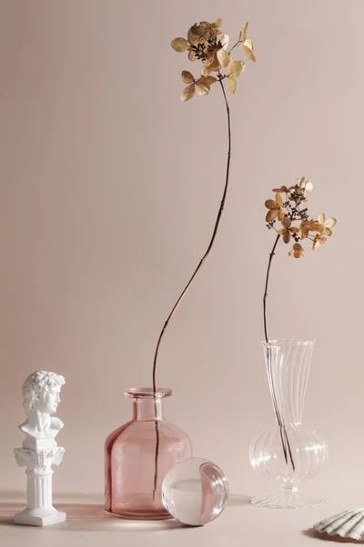 Simplicity Naturalness Wabi Sabi Concept Dry Flowers Vases Beige Background — Fotografia de Stock