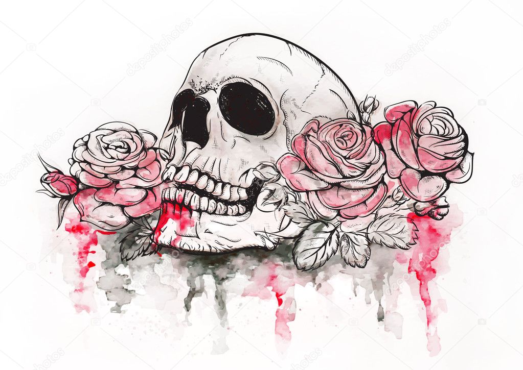 Calavera con rosas imágenes de stock de arte vectorial | Depositphotos