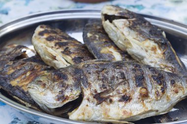 ızgara dorade balık