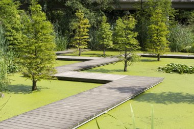 grugapark essen Park'ta güzel bir yeşil şehir