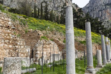 delphi Yunanistan'da Apollon Tapınağı