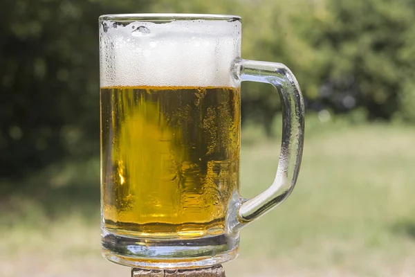 Cerveja gelada em uma caneca gelada — Fotografia de Stock