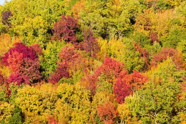 sonbahar renkli dağ sahnesinde