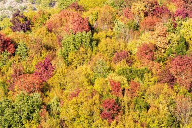 sonbahar renkli dağ sahnesinde