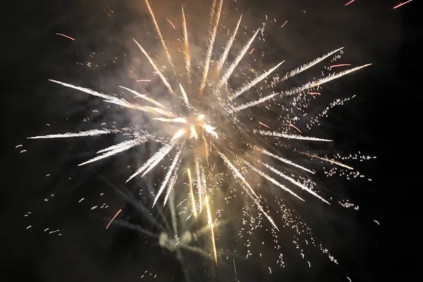Beautiful fireworks against the dark sky, fireworks — Stock Photo, Image