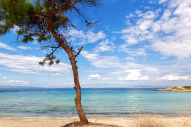 Vourvourou beach Halkidikya, Yunanistan