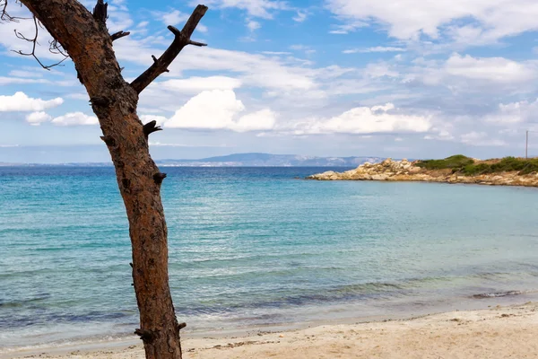 哈尔基迪基，希腊的 vourvourou 海滩 — 图库照片