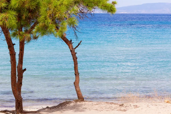 哈尔基迪基，希腊的 vourvourou 海滩 — 图库照片
