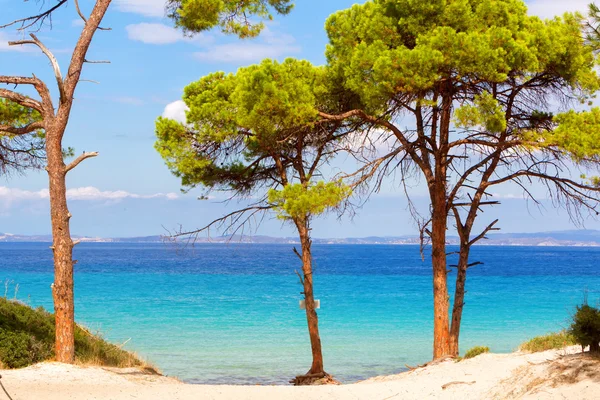 Playa Vourvourou en Halkidiki, Grecia —  Fotos de Stock