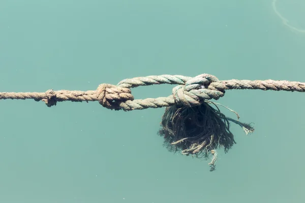 Mariene touw in de zee — Stockfoto