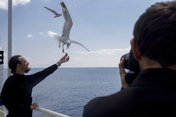 Monk feeding seagulls