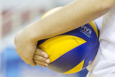 Voleybol Topu