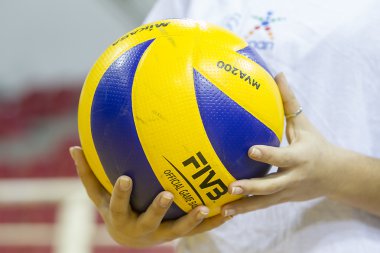 Voleybol Topu